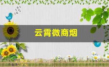 云霄微商烟
