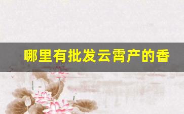 哪里有批发云霄产的香烟-真正的云霄烟批发
