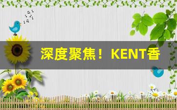 深度聚焦！KENT香烟好抽吗“敝绨恶粟”