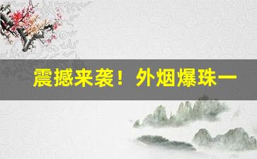 震撼来袭！外烟爆珠一手货源供应“乘间伺隙”