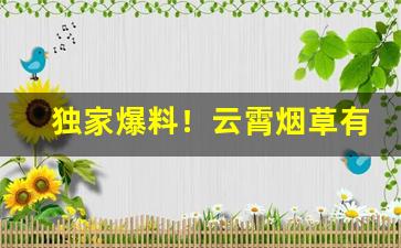 独家爆料！云霄烟草有限公司官网“半涂而废”