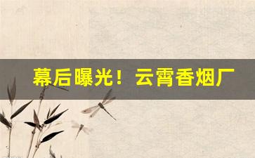 幕后曝光！云霄香烟厂家批发“钝学累功”