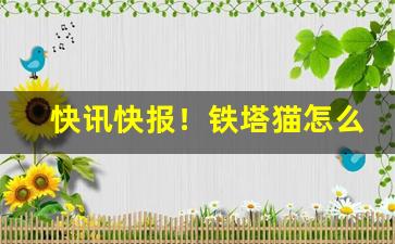 快讯快报！铁塔猫怎么卖“粗手大脚”