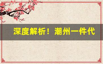 深度解析！潮州一件代发价格优惠“不期而同”
