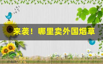 来袭！哪里卖外国烟草“地利人和”