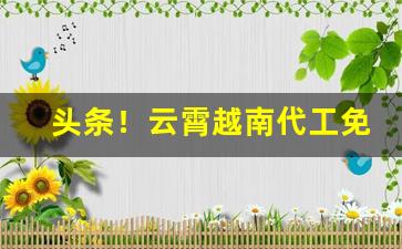 头条！云霄越南代工免税香烟外烟爆珠香烟国烟批发代理“超然自得”