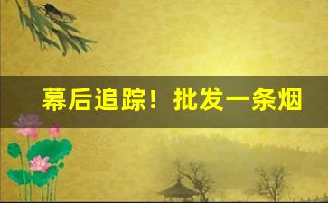 幕后追踪！批发一条烟需要多少钱“察己知人”