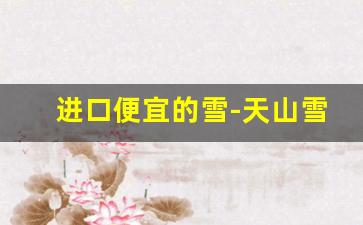 进口便宜的雪-天山雪的价格
