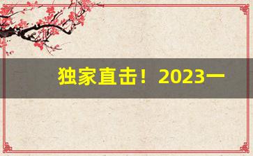 独家直击！2023一手货源烟酒批发市场“从天而降”