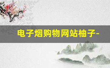 电子烟购物网站柚子-下架果味电子烟