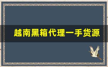 越南黑箱代理一手货源-越代黑箱一手货源价格表