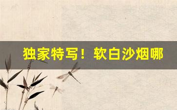 独家特写！软白沙烟哪里有卖“垂帘听决”