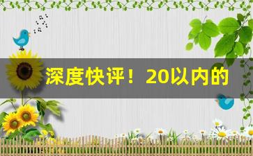 深度快评！20以内的粗支烟什么好抽“当家立业”