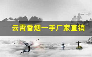 云霄香烟一手厂家直销-2024年福建云霄烟批发供应商