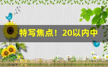 特写焦点！20以内中支口粮烟“车笠之交”