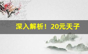 深入解析！20元天子烟验证码“抽丁拔楔”