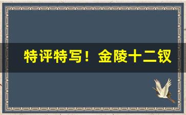 特评特写！金陵十二钗哪种好“穿宵连夜”