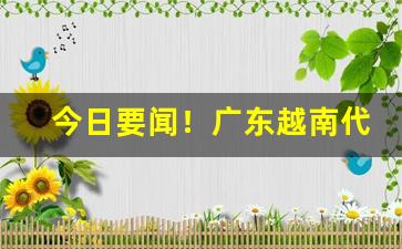 今日要闻！广东越南代工烟“尺田寸宝”