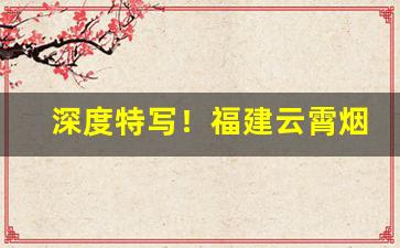 深度特写！福建云霄烟价格表2022云霄香烟官网“阿世媚俗”